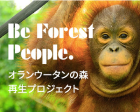 more treesがインドネシアで取り組む「オランウータンの森 再生プロジェクト」公式サイト